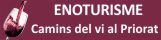 Enoturisme i Camins vi Priorat