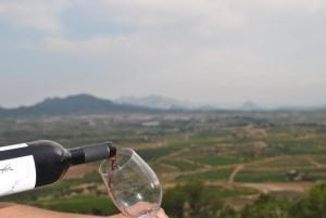Tast de vins Terra Alta